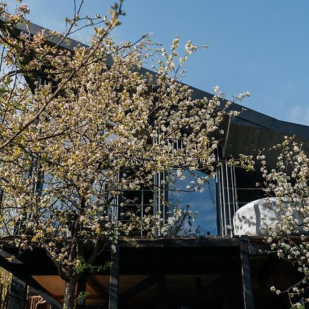 Казковий Дім Та Garden Два Будиночки В Горах З Чаном-Джакузі Slavske Exterior foto