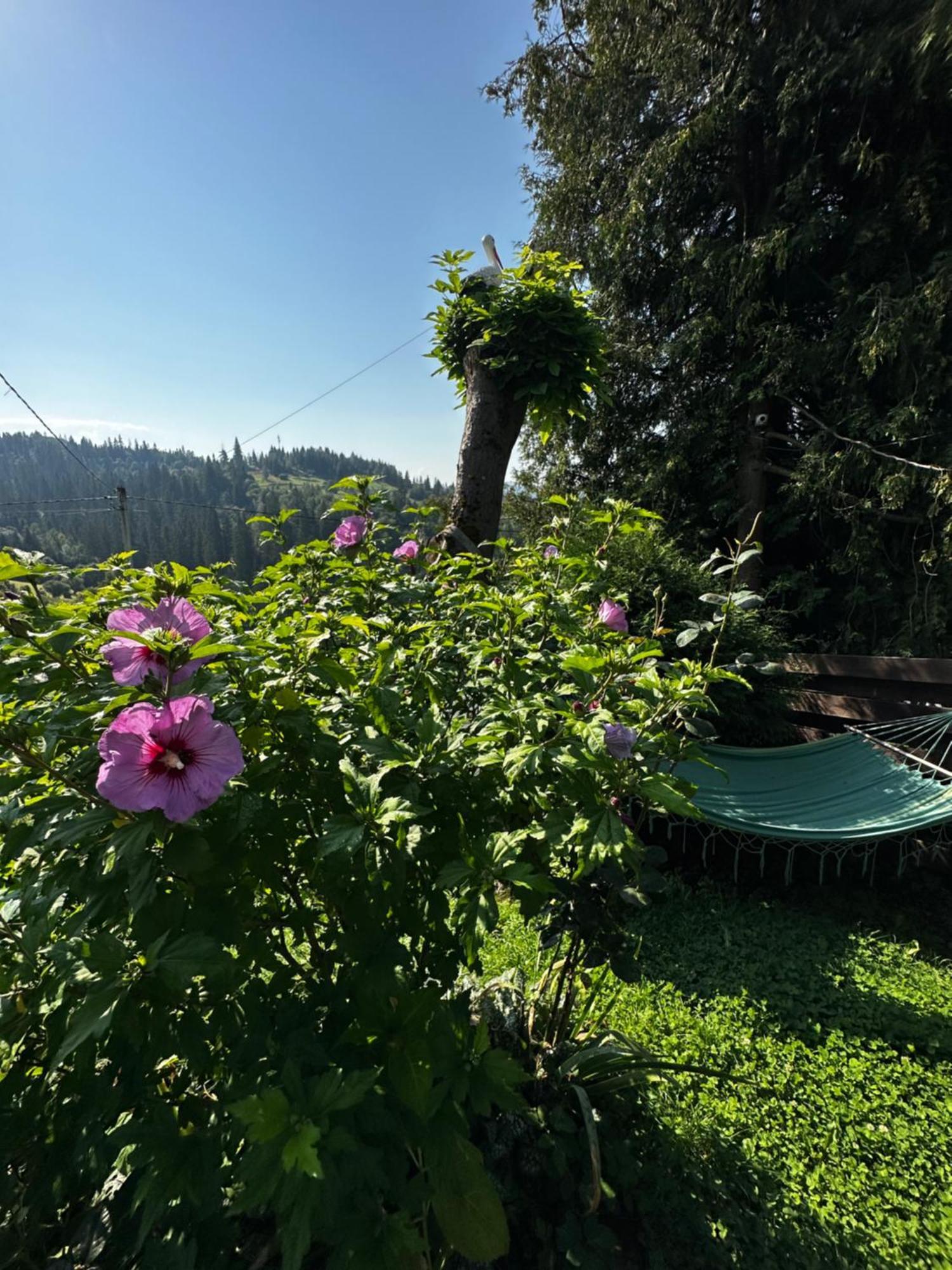 Казковий Дім Та Garden Два Будиночки В Горах З Чаном-Джакузі Slavske Exterior foto