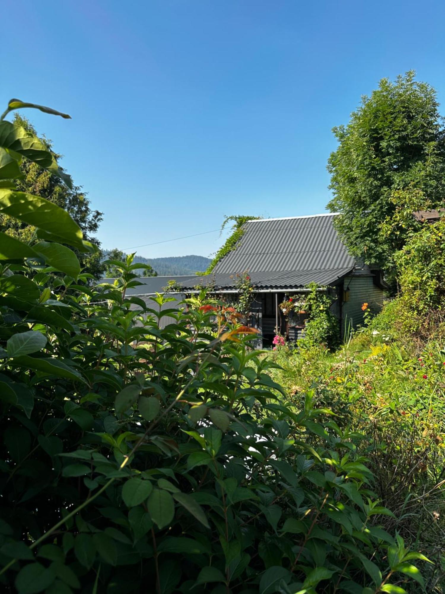 Казковий Дім Та Garden Два Будиночки В Горах З Чаном-Джакузі Slavske Exterior foto